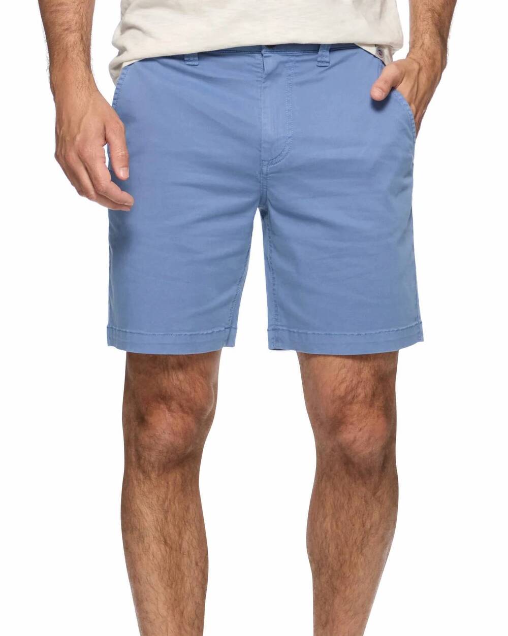 NEW FLAGS & ANTHEM catskill dye short in blue